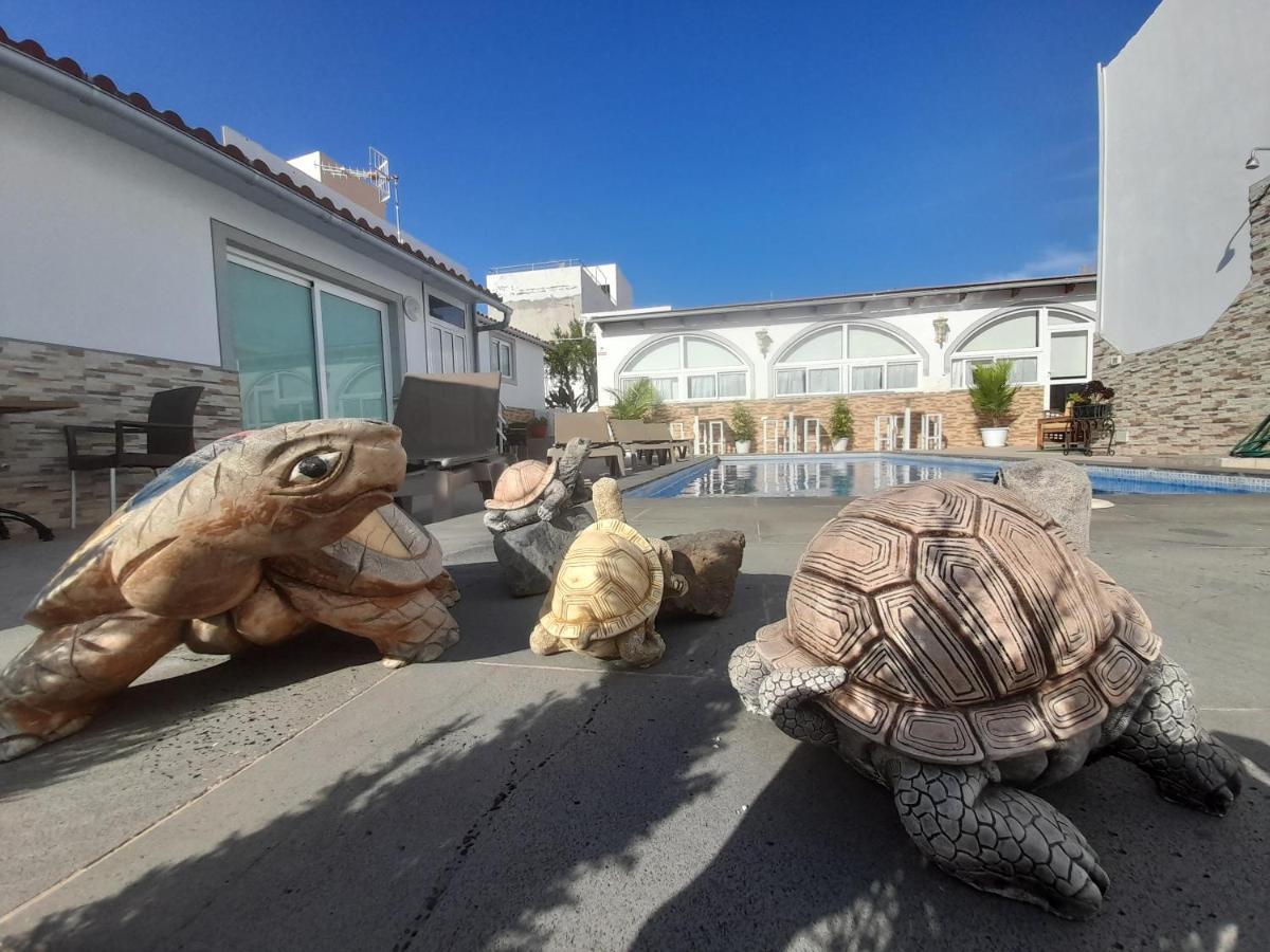 Tenerife Little Village 1D Сан-Исидро Экстерьер фото